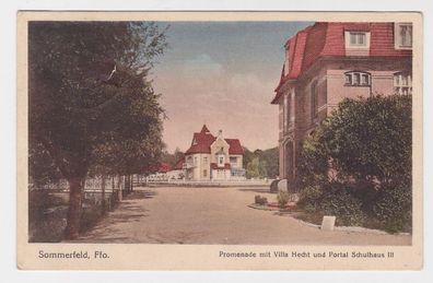 88008 Ak Sommerfeld Ffo. Promenade mit Villa Hecht und Portal Schulhaus III