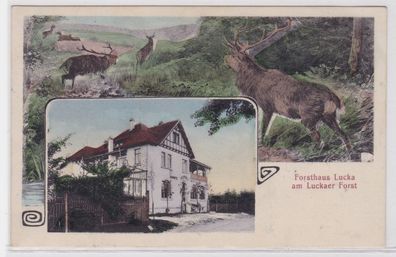 88588Mehrbild Ak Forsthaus Lucka am Luckaer Forst 1912