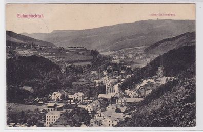 88928 AK Eulaubachtal - Hoher Schneeberg, Blick ins Tal 1908