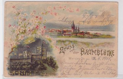 91330 Ak Lithographie Gruß von der Baumblüte Werder a.H. 1900