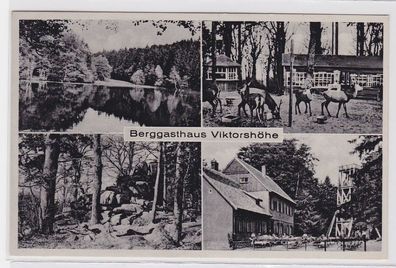 92947 Mehrbild Ak Berggasthaus Viktorshöhe im Harz 1942