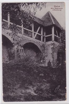 93005 Ak Zerbst alte Stadtmauer (Weinberg) 1908