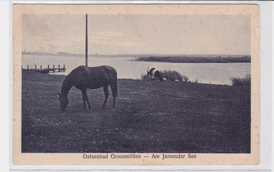 94290 Ak Ostseebad Grossmöllen Mielno am Jamunder See 1928