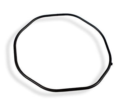 Casio Gehäusebodendichtung BG-1301 BG-1302 MSG-160C MSG-160D MSG-160L