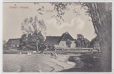 66449 Ak Einfeld in Holstein Dorfidyll um 1912