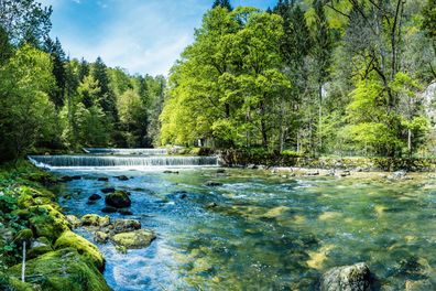 Muralo VLIES Fototapeten XXL Wald Bäume Wasserfall Natur 1144