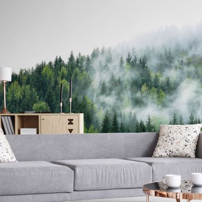 Muralo VLIES Fototapeten XXL Wald im Nebel Bäume Berge 1629