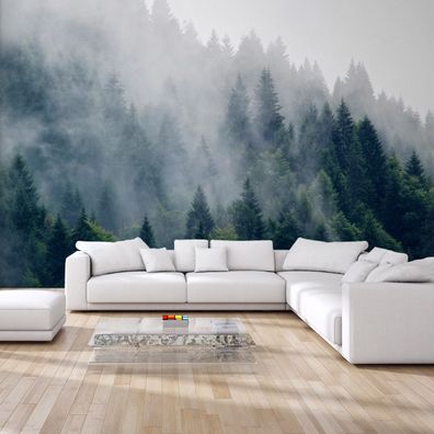 Muralo VLIES Fototapeten XXL Wald im Nebel Bäume Himmel 1710