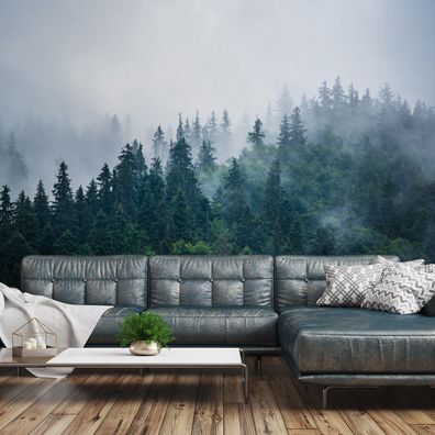 Muralo VLIES Fototapeten XXL Wald im Nebel Bäume Natur 2046
