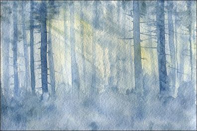 Muralo VLIES Fototapeten Tapeten Rollen XXL Wald Bäume Nebel 372