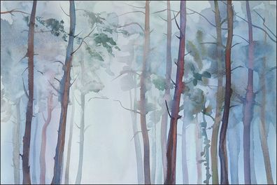 Muralo Selbstklebende Fototapeten XXL Wald Bäume 376