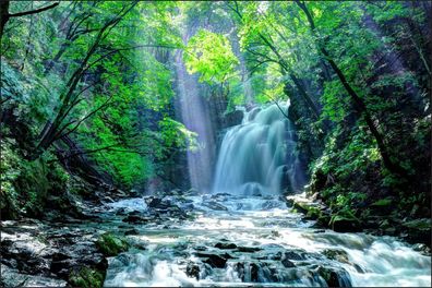 Muralo VLIES Fototapeten Tapeten Rollen XXL Wasserfall im Wald 685