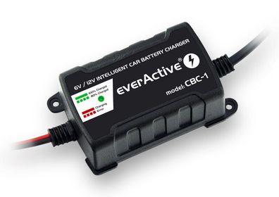 Ladegerät für 6V/12V Batterien everActive CBC-1