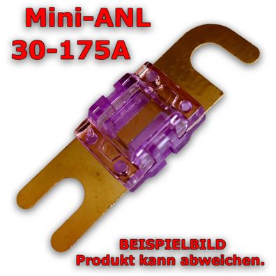 Mini-ANL Sicherung 30-175A (Auswahl)
