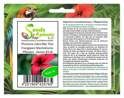 3x Plumeria rubra Mai Thai Frangipani Wachsblume Pflanzen - Samen B118