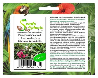 3x Plumeria rubra mixed colours Wachsblume Pflanzen - Samen B119