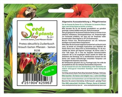 4x Protea obtusifolia Zuckerbusch Strauch Garten Pflanzen - Samen B138