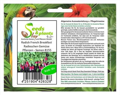50x Radish French Breakfast Radieschen Gemüse Pflanzen - Samen B155