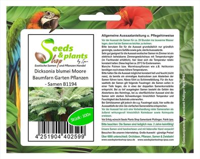 100x Dicksonia blumei Moore Baumfarn Garten Pflanzen - Samen B1194