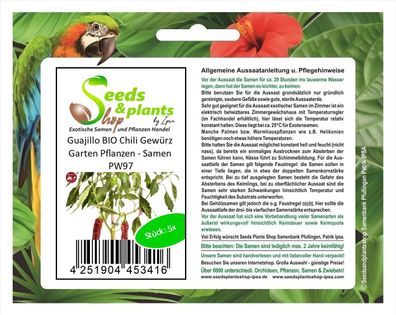 5x Guajillo BIO Chili Gewürz Garten Pflanzen - Samen PW97
