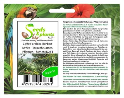 5x Coffea arabica Borbon Kaffee - Strauch Garten Pflanzen - Samen ID261