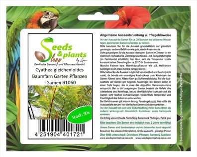 50x Cyathea gleichenioides Baumfarn Garten Pflanzen - Samen B1060