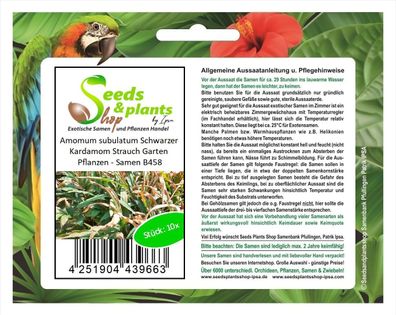 10x Amomum subulatum Schwarzer Kardamom Strauch Garten Pflanzen - Samen B458