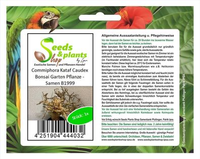 1x Commiphora Kataf Caudex Bonsai Garten Pflanze - Samen B1999
