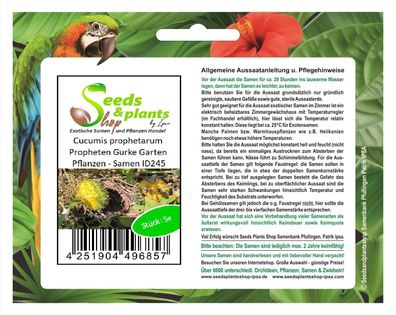 5x Cucumis prophetarum Propheten Gurke Garten Pflanzen - Samen ID245