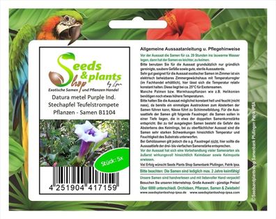 5x Datura metel Purple Ind. Stechapfel Teufelstrompete Pflanzen - Samen B1104