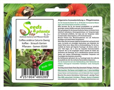 10x Coffea arabica Caturra Zwerg Kaffee - Strauch Garten Pflanzen - Samen ID260