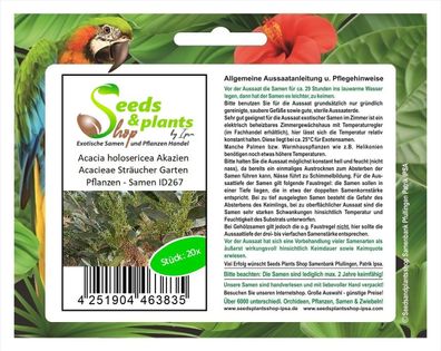 20x Acacia holosericea Akazien Acacieae Sträucher Garten Pflanzen - Samen ID267