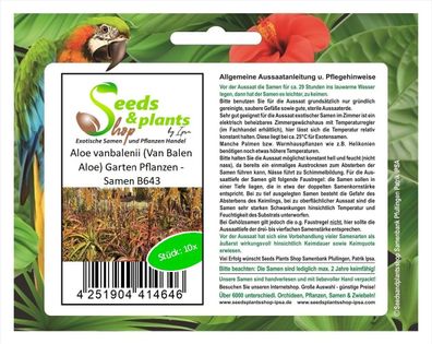 10x Aloe vanbalenii (Van Balen Aloe) Sukkulenten Garten Pflanzen - Samen B643