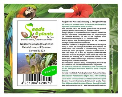 10x Nepenthes madagascariensis Fleischfressend Pflanzen - Samen B1823