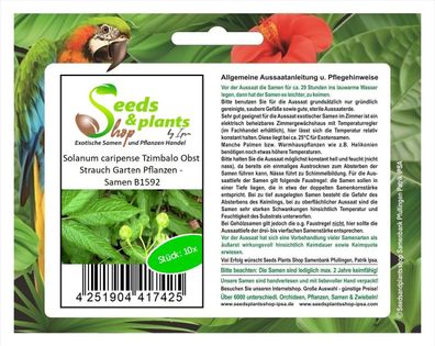 10x Solanum caripense Tzimbalo Obst Strauch Garten Pflanzen - Samen B1592