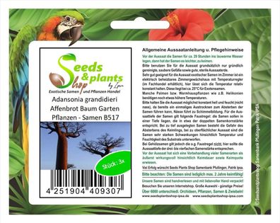 3x Adansonia grandidieri Affenbrot Baum Garten Pflanzen - Samen B517