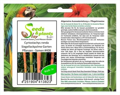 5x Cyrtostachys renda Siegellackpalme Garten Pflanzen - Samen #408