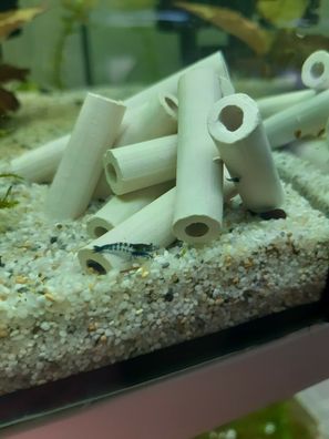 10 x Tonröhrchen - Mini Höhle - Deko Nano Garnelen Aquarium - Weidefläche