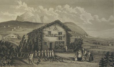 Stahlstich Zwinglis Haus um 1860 /0688