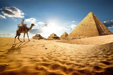 Muralo VLIES Fototapeten Tapeten XXL Wohnzimmer Wüste Pyramiden 3671