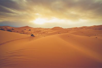 Muralo VLIES Fototapeten Tapeten XXL Büro SAHARA Wüste Landschaft 3674
