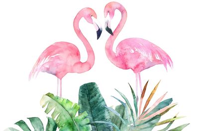 Muralo VLIES Fototapeten Tapeten XXL für Jugend Flamingos Blätter 3551
