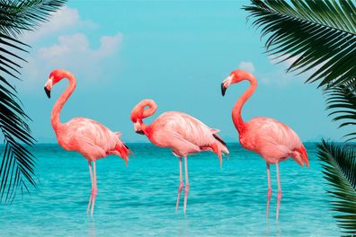 Muralo VLIES Fototapeten Tapeten XXL Schlafzimmer Flamingos Meer 3D 3557