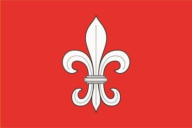 Fahne Flagge Lille (Frankreich) Premiumqualität