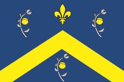 Fahne Flagge Montreuil (Seine-Saint-Denis) Premiumqualität