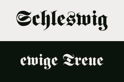 Fahne Flagge Schleswig ewige Treue Premiumqualität