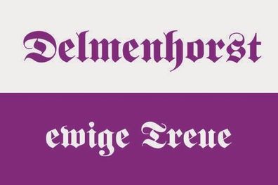 Fahne Flagge Delmenhorst ewige Treue Premiumqualität