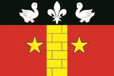 Fahne Flagge Dom-le-Mesnil (Frankreich) Premiumqualität