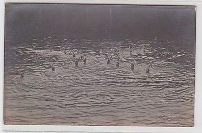 65377 Foto Ak Crimmitschau Freibad Schwimmbad um 1920