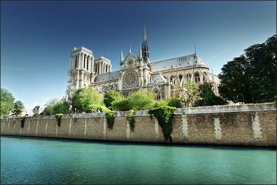 Muralo VLIES Fototapeten Tapeten XXL Paris Notre Dame 443